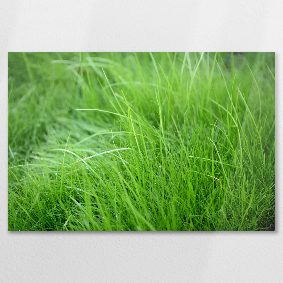 AC-075W050