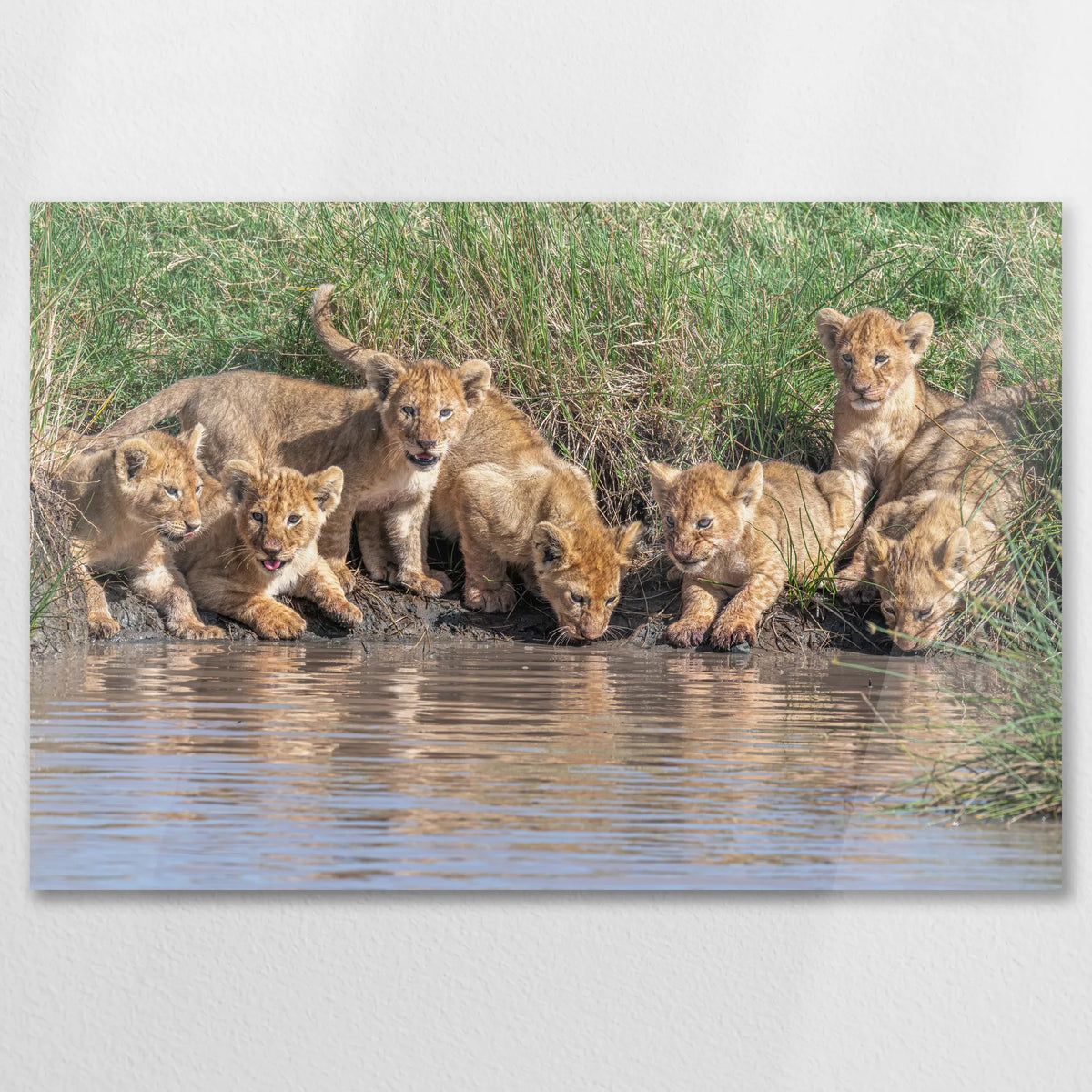 AC-090W060
