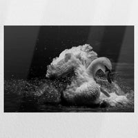 PO-045W030