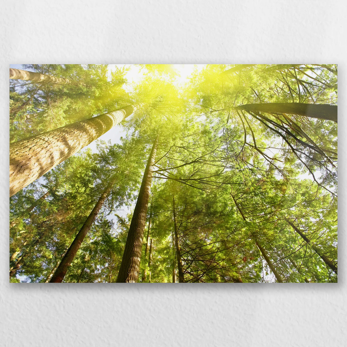 AL-060W040