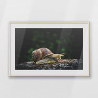 PNP100W070