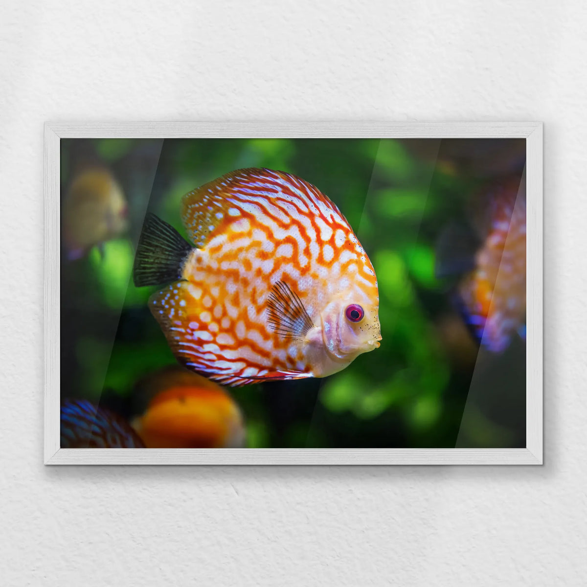 PW-060W040