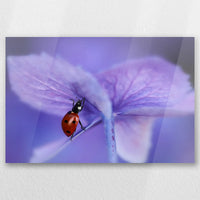 AC-030W020