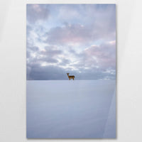 AC-060W090