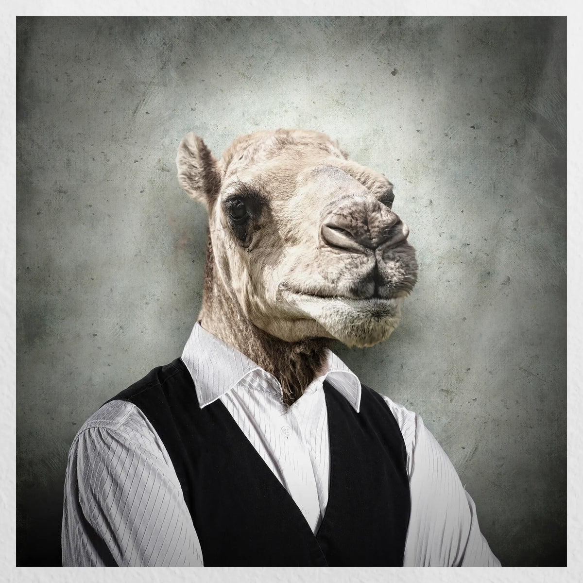 PO-030W030