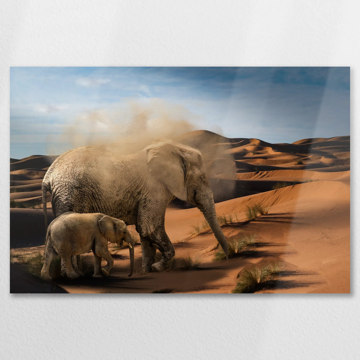 AL-075W050