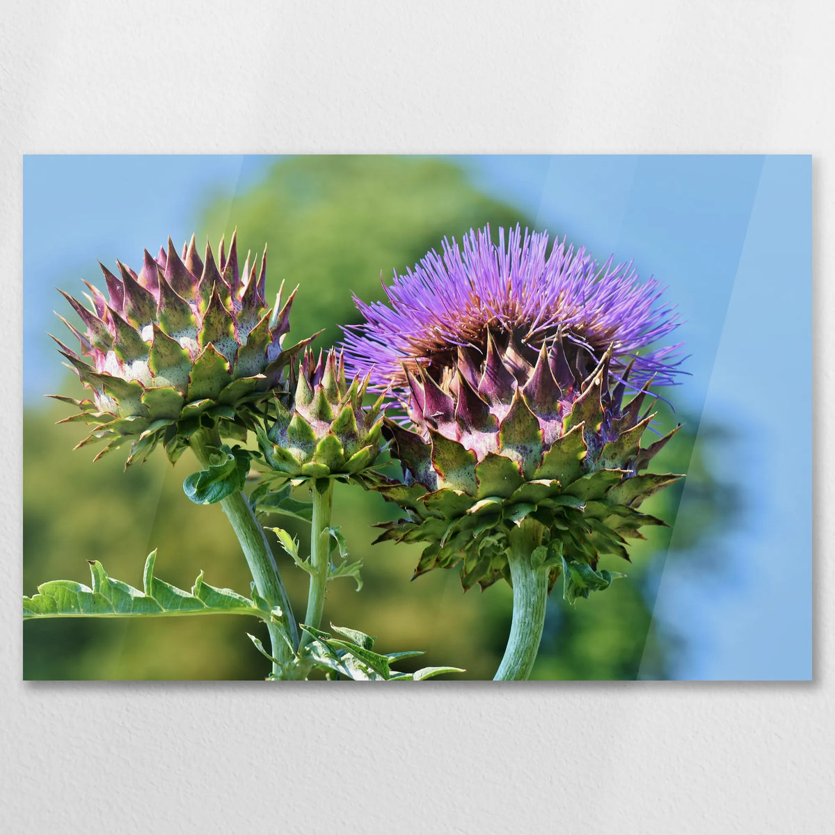 AC-090W060