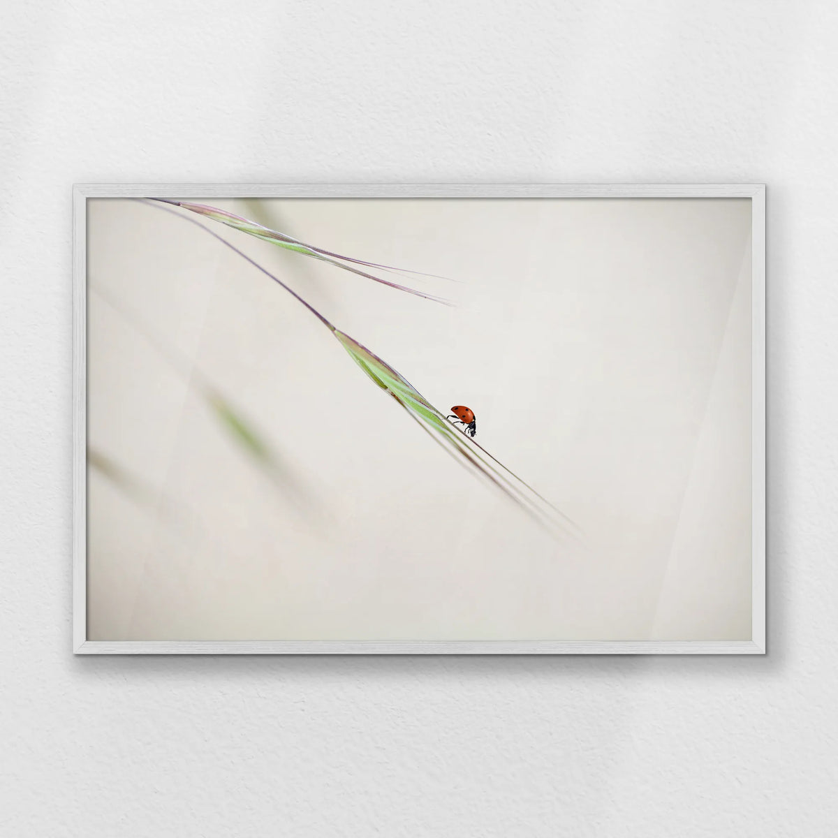 PW-093W062
