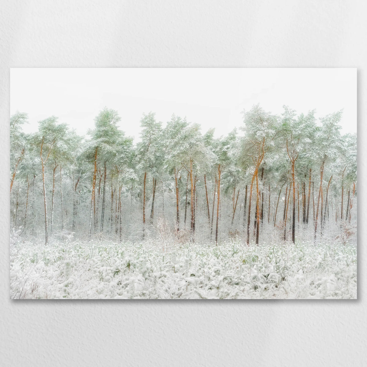AL-075W050