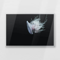 PS-093W062