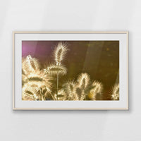 PNP100W070
