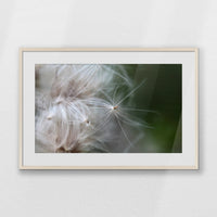 PNP093W062