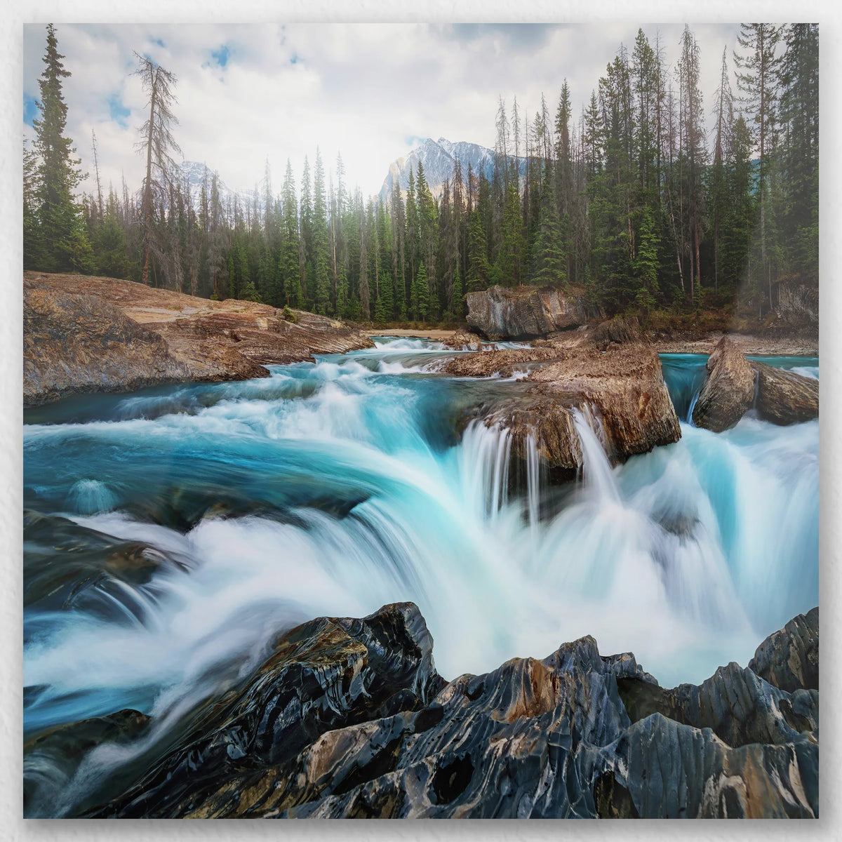 AL-040W040