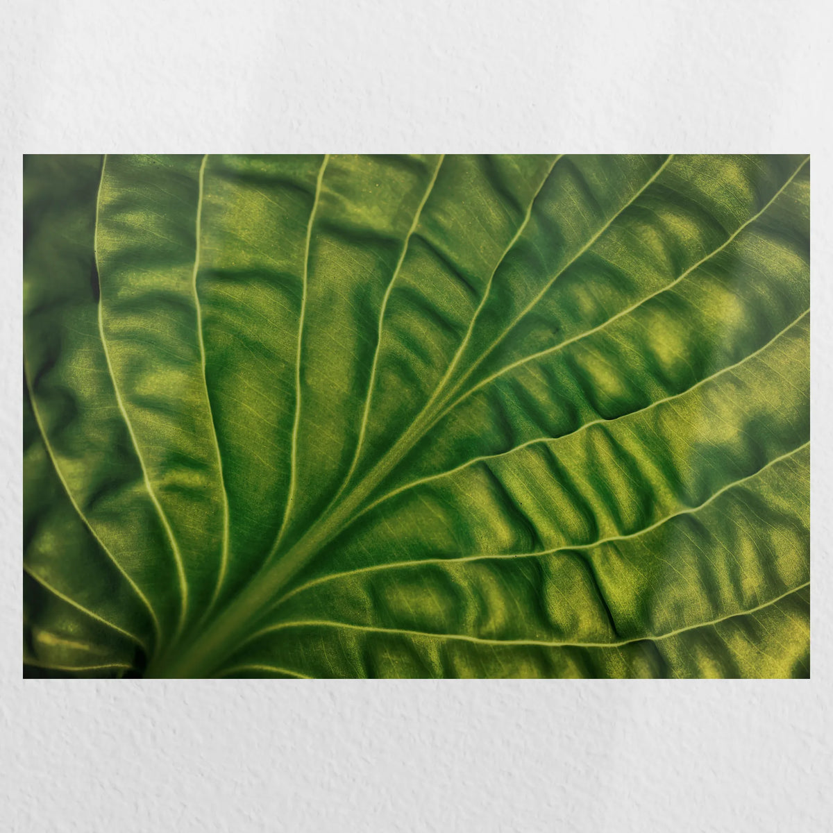 PO-045W030