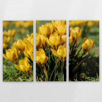 LW-210R140