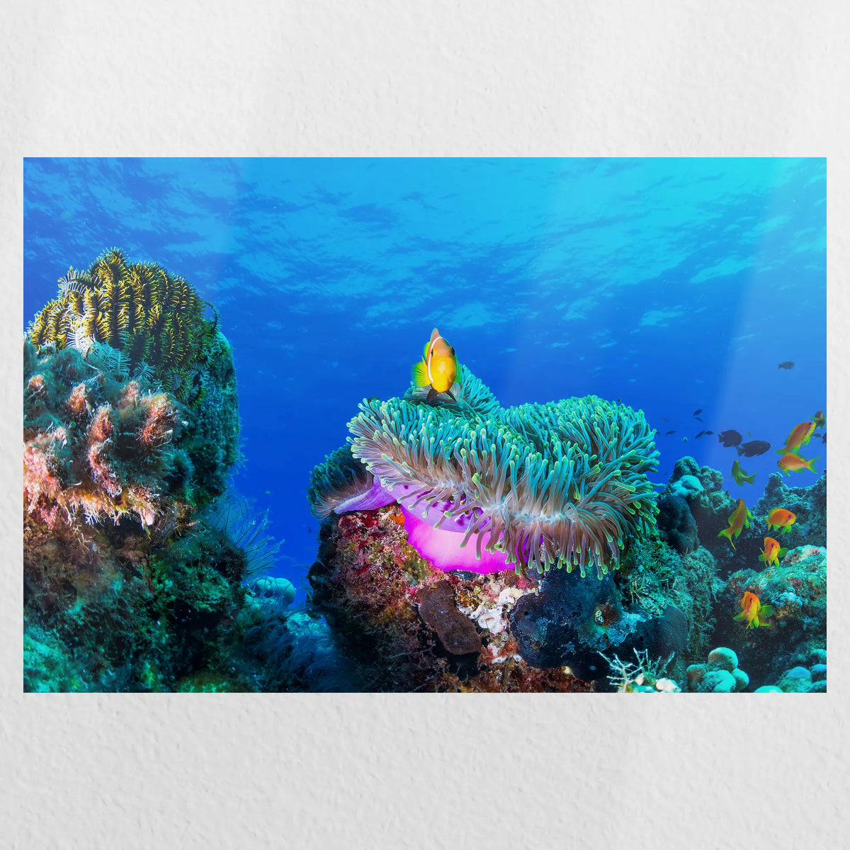 PO-060W040