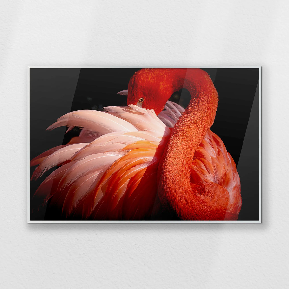PS-093W062