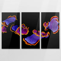AC-150R100