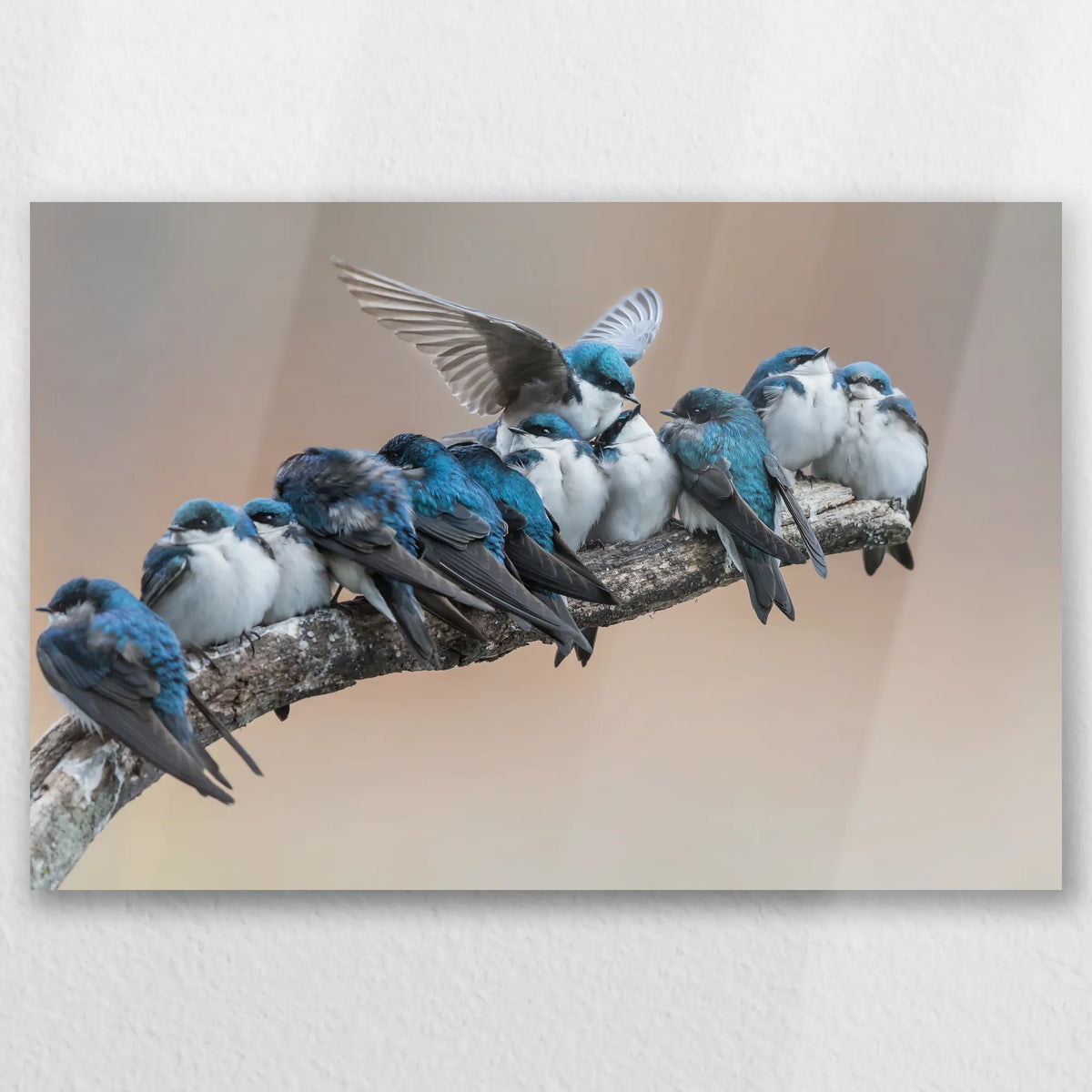 AL-030W020