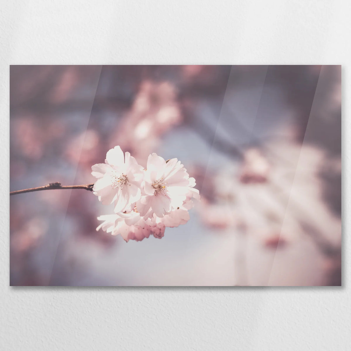 AC-075W050
