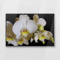 PB-093W062