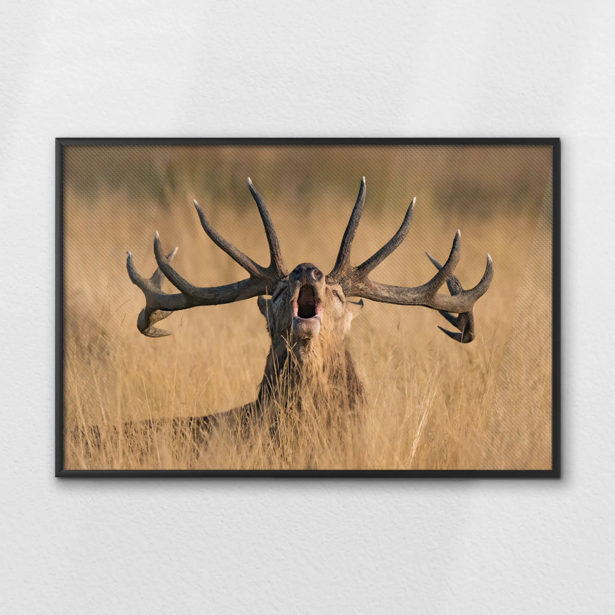 LWB120W080