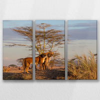 LW-060R040