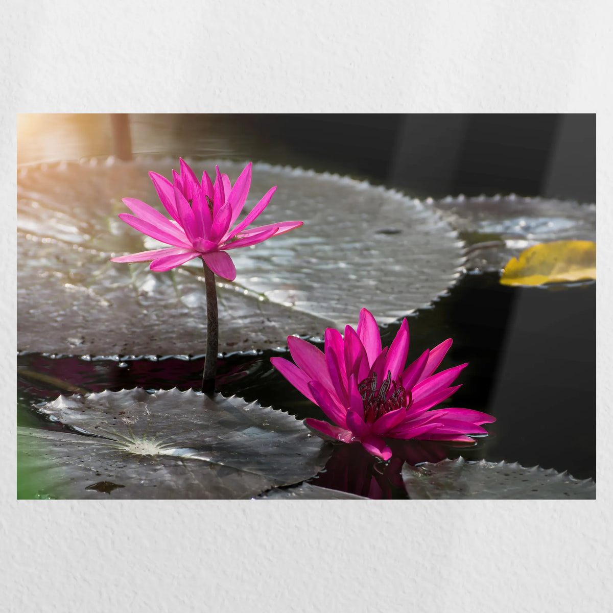PO-030W020