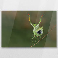 AC-045W030