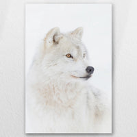 AL-050W075