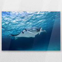 AC-060W040