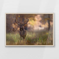 PN-093W062