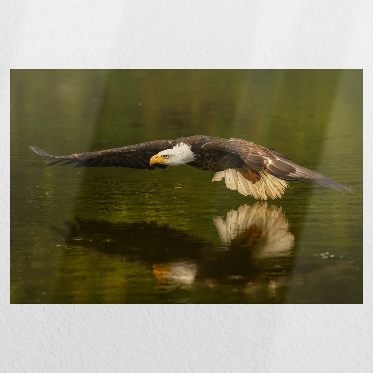 PO-060W040