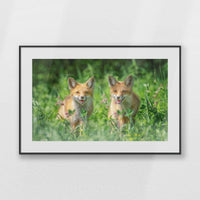 PBP093W062