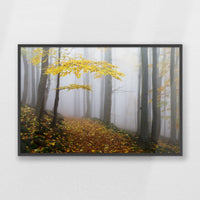 PK-100W070