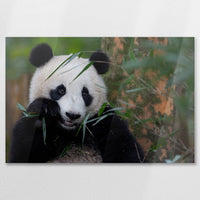 AC-090W060