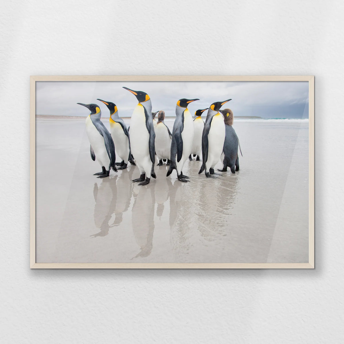 PN-093W062