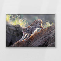 PB-100W070