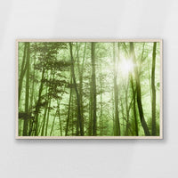 PN-093W062