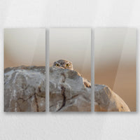 AC-060R040