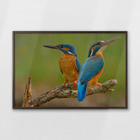 LWN100W070