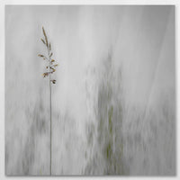 AL-090W090