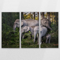 LW-150R100