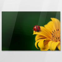 AC-090W060