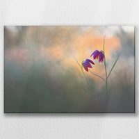 LW-045W030