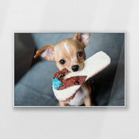 PS-093W062