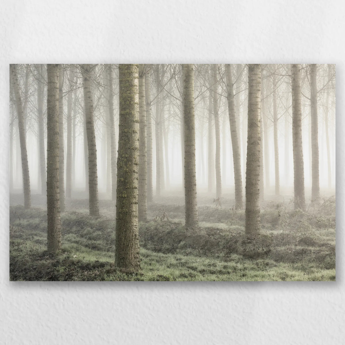 AL-045W030