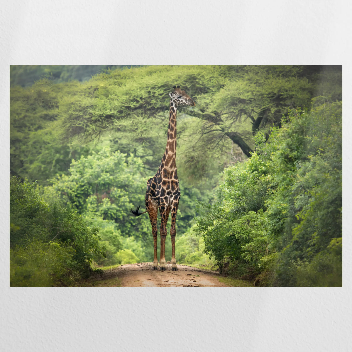 PO-090W060