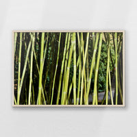 PN-100W070