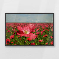 PK-100W070